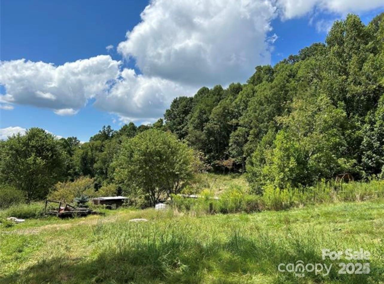 108 Lanning Road Clyde, NC 28721 - Photo 6 of 15