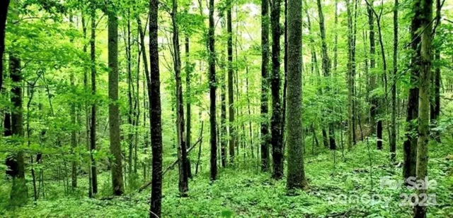 $299,000 | 108 Lanning Road, Clyde, NC 28721