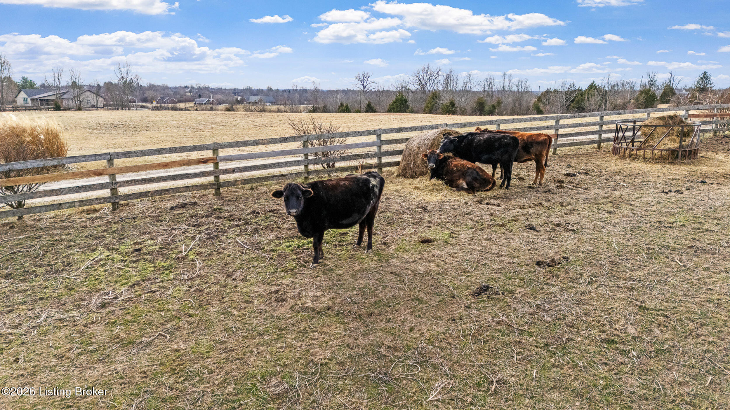 2942 Pendleton Road Pendleton, KY 40055 - Photo 87 of 101 2942 Pendelton Rd (33)