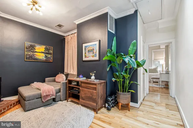 a room with furniture and potted plant