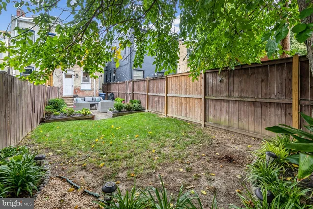 a view of a backyard with a plants and large trees