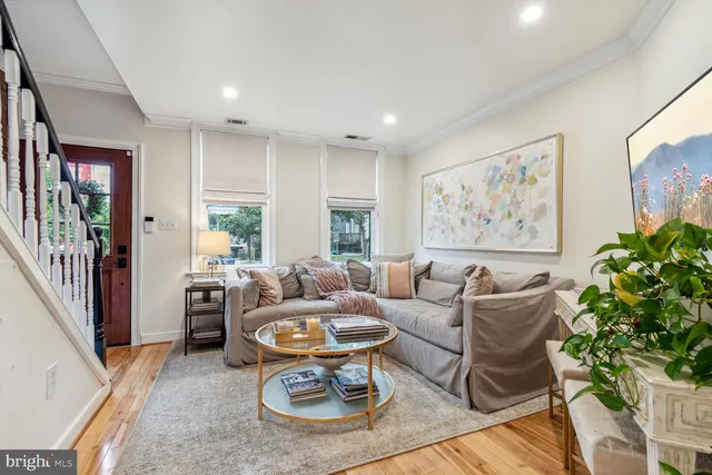 a living room with furniture a couch and a potted plant