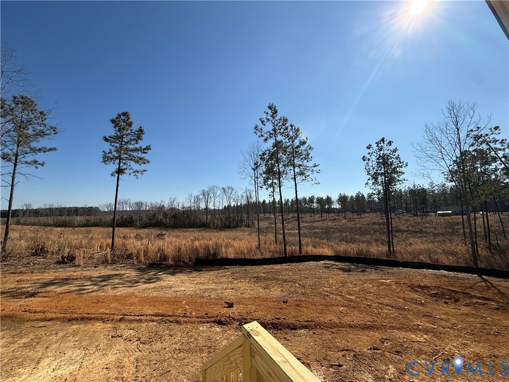 4632 Country Club Road La Crosse, VA 23950 - Photo 18 of 21 a view of a backyard
