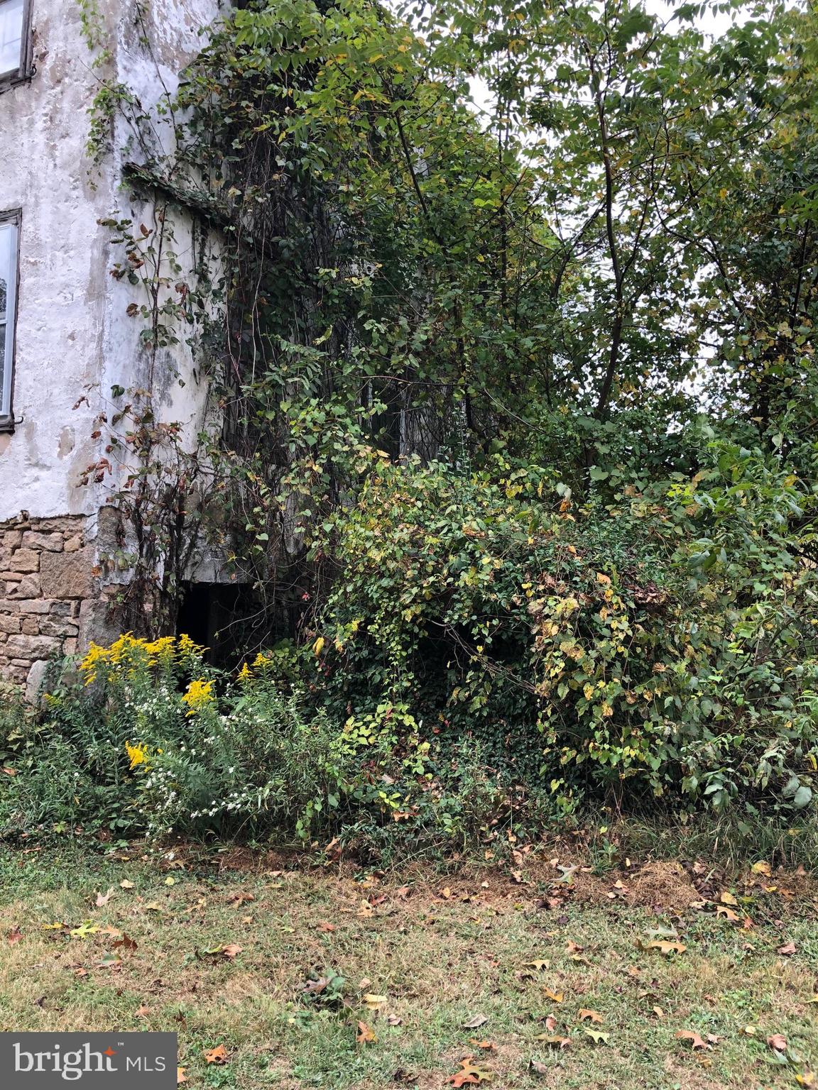 190 Morningside Road Elverson, PA 19520 - Photo 7 of 7 a view of a garden
