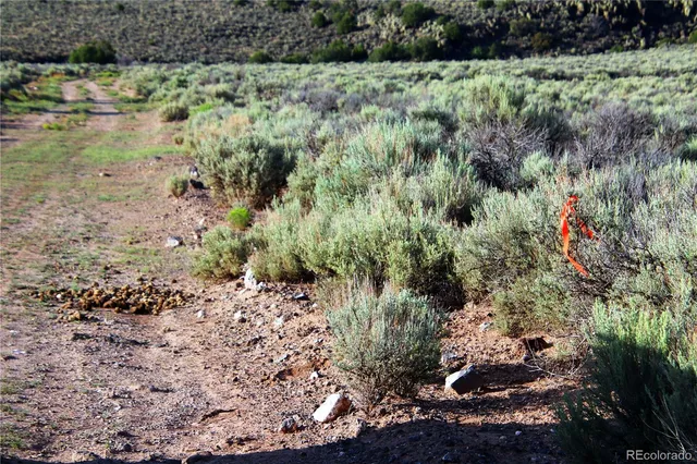 a view of a lake with a yard