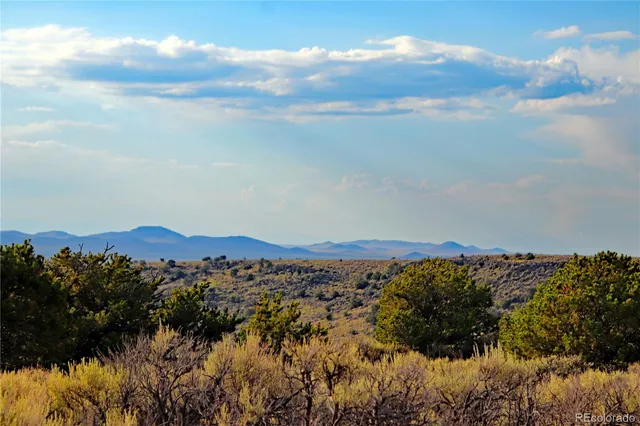 a view of a large body of water with lots of trees