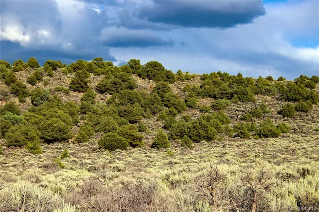 a view of a bunch of trees