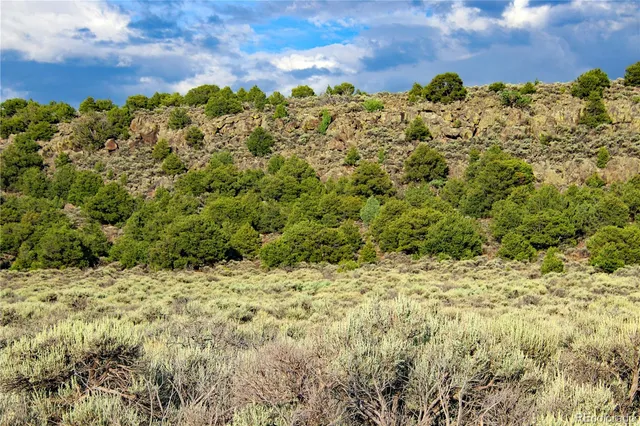 a view of a yard with a tree