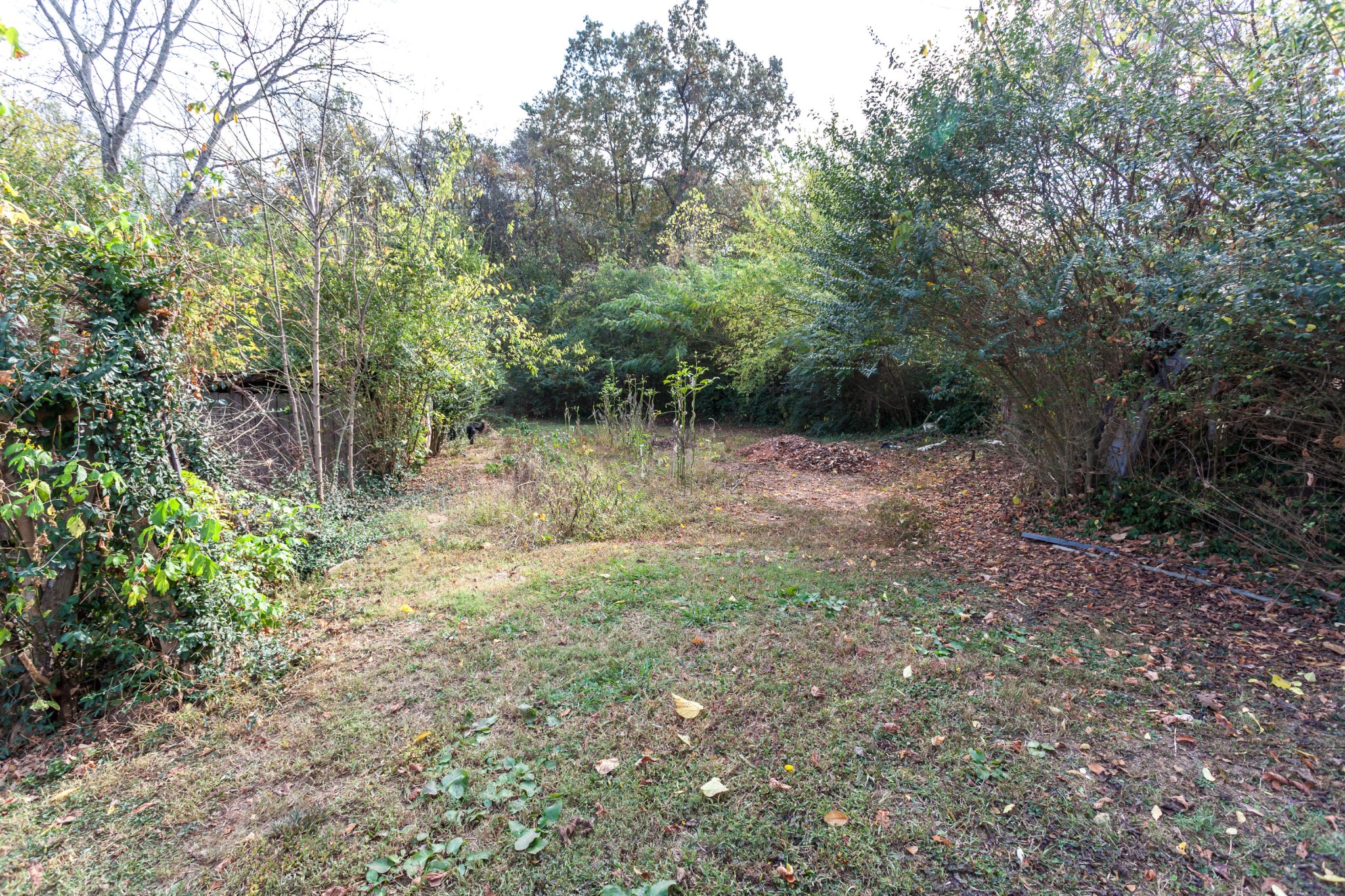5129 Webber Road Knoxville, TN 37920 - Photo 32 of 33 Gallery Image 32