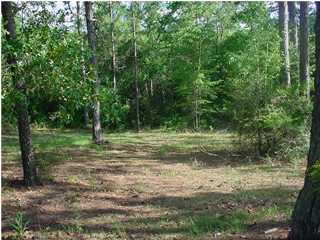 2 Stone Mill Creek Road Wewahitchka, FL 32465 - Photo 1 of 1