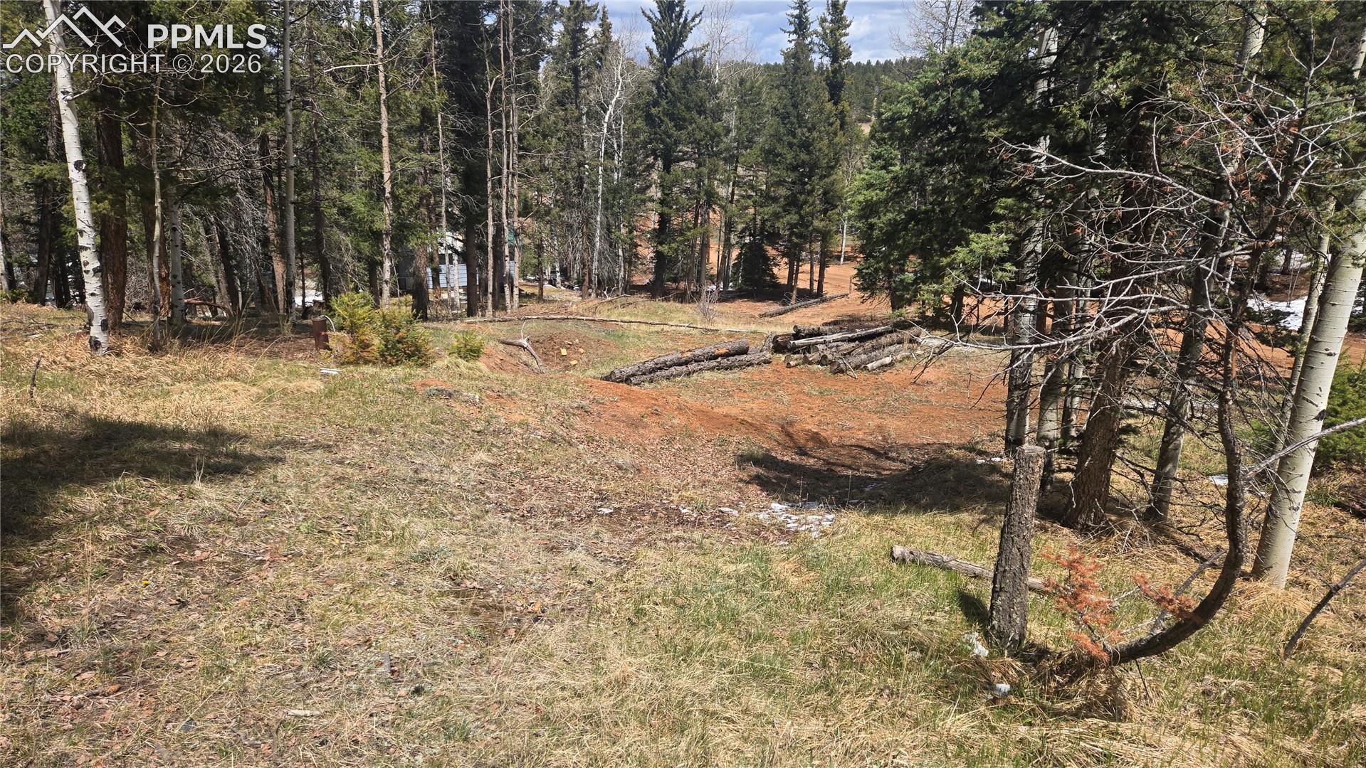 151 Mt Elbert Road Florissant, CO 80816 - Photo 3 of 5 Gallery Image 3