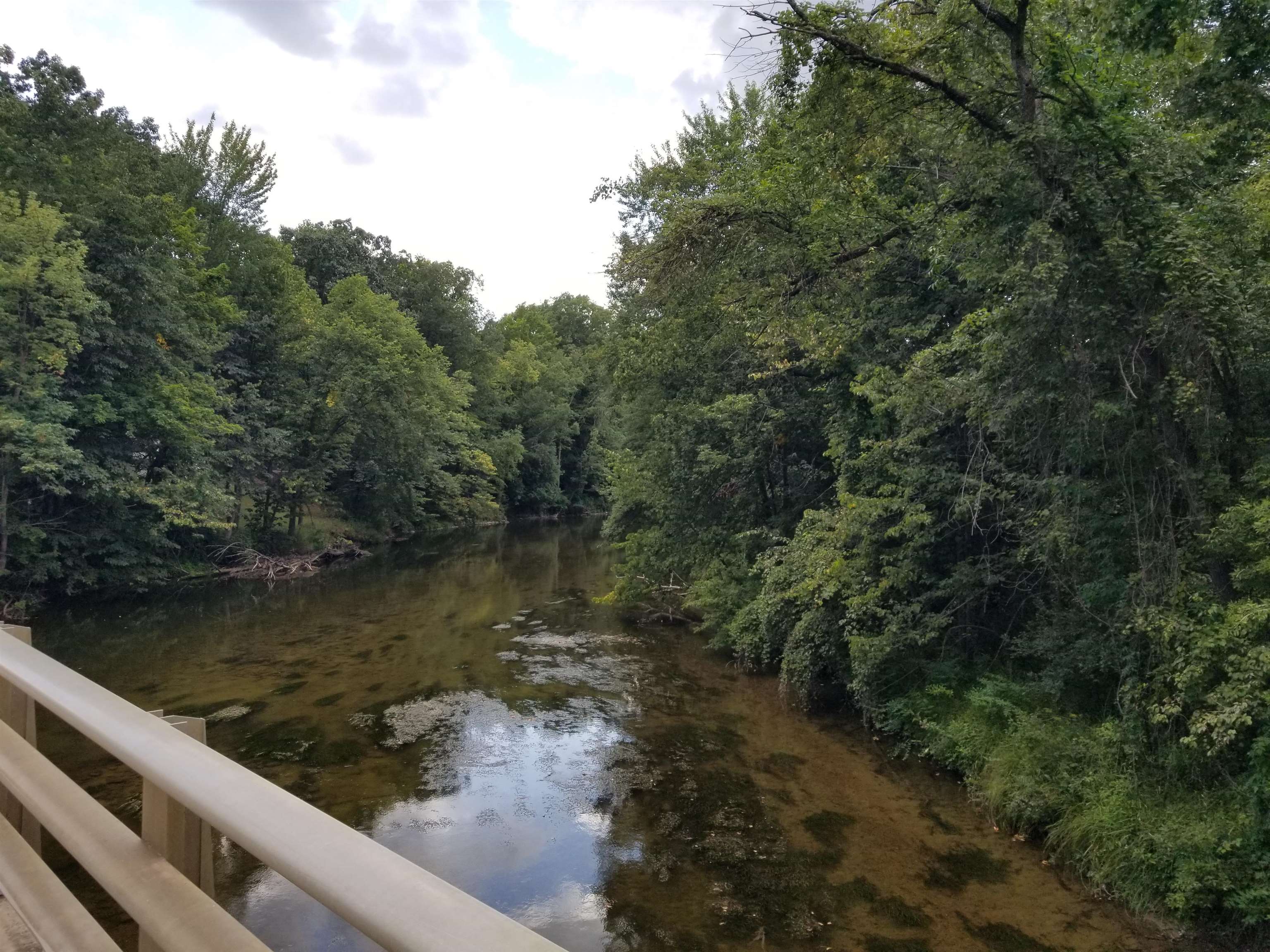40-acres South Chippewa Road Mount Pleasant, MI 48858 - Photo 12 of 14