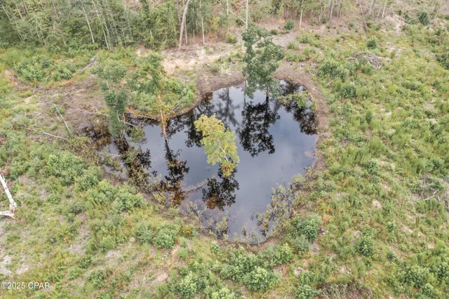 $699,999 | 2822 River Road, Vernon, FL 32462