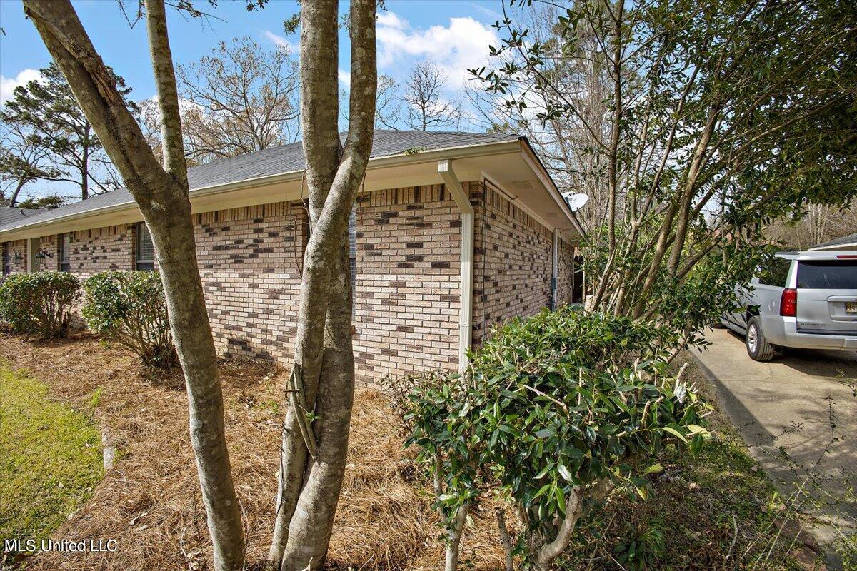 7 Treeway Drive Brandon, MS 39042 - Photo 15 of 20 02-7 Treeway Dr