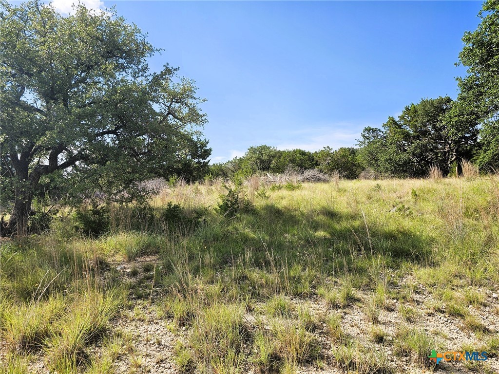 100 Reavis Drive Kempner, TX 76539 - Photo 15 of 33