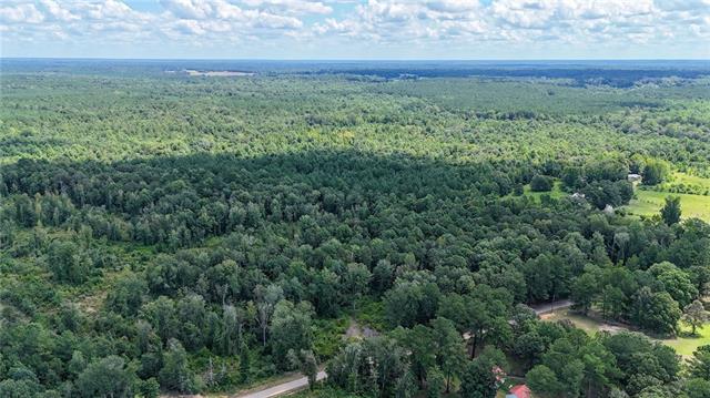 Tbd Martin Road Mount Hermon, LA 70450 - Photo 6 of 18 Gallery Image 6