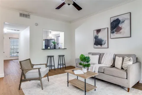 a living room with furniture and a potted plant