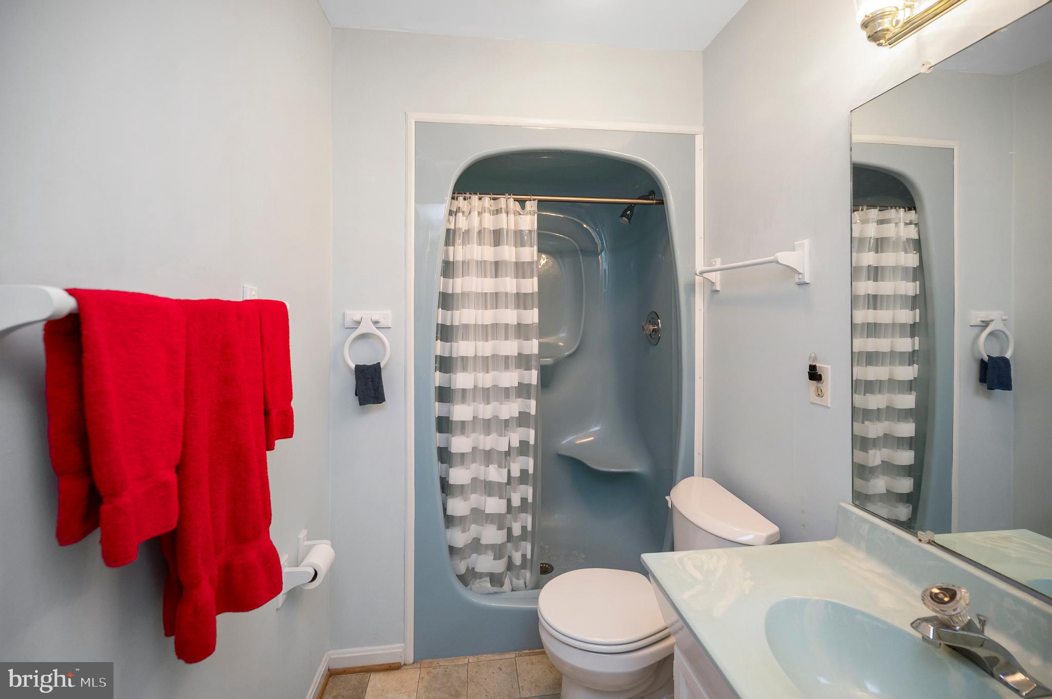 102 Flat Run Locust Grove, VA 22508 - Photo 33 of 60 Fun lower level hall bath!