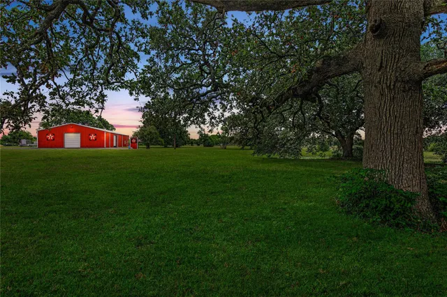 a view of yard with grass and trees