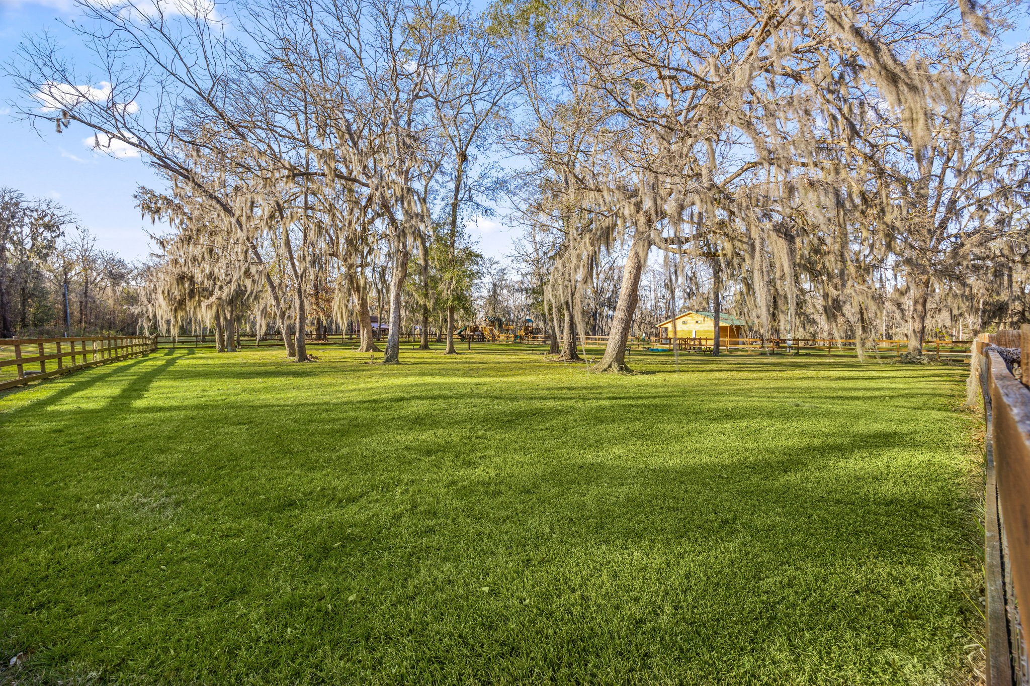 236 Pine Ridge Drive Cleveland, TX 77327 - Photo 26 of 30 a huge green field with lots of trees