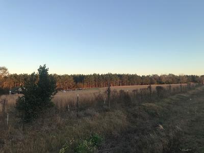 788 Trussell Road Hartford, AL 36344 - Photo 1 of 1