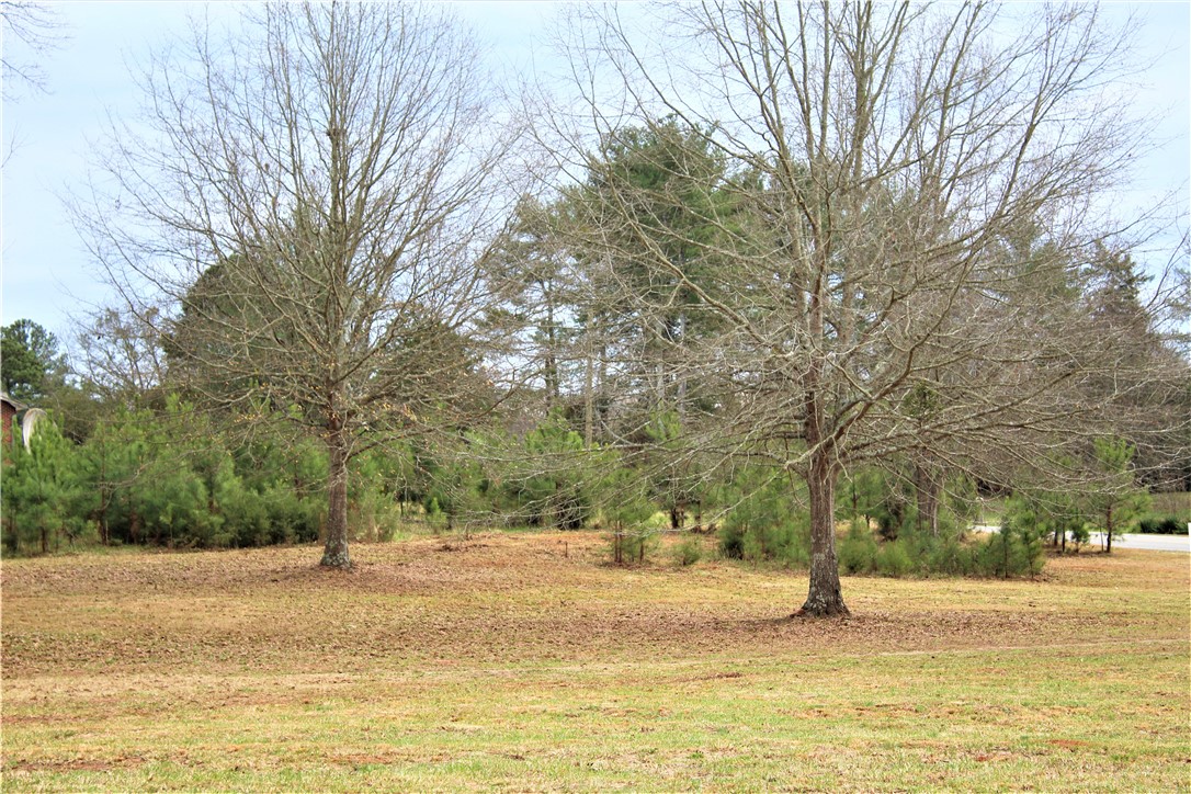 1911 Amity Road Belton, SC 29627 - Photo 18 of 50 Gallery Image 18