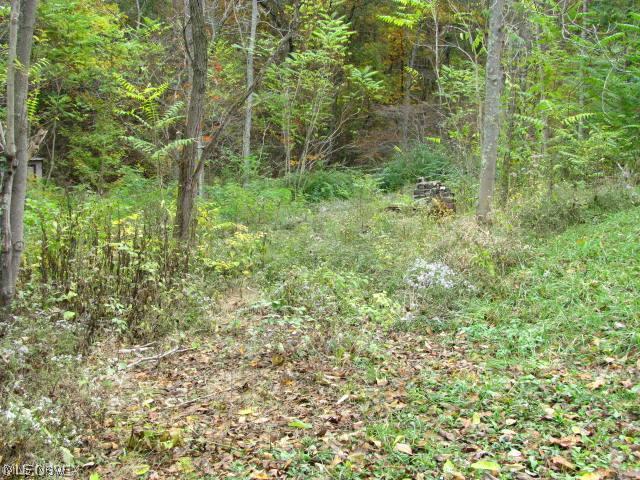 12045 Robins Road Byesville, OH 43723 - Photo 5 of 17