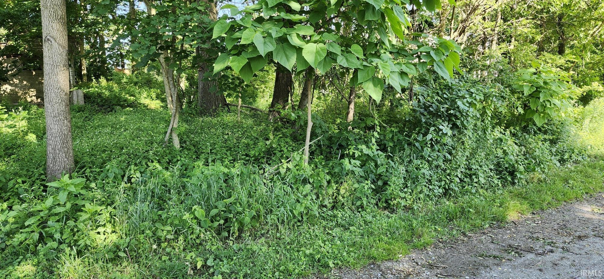 Lot 2 Waters Edge Elkhart, IN 46514 - Photo 3 of 7