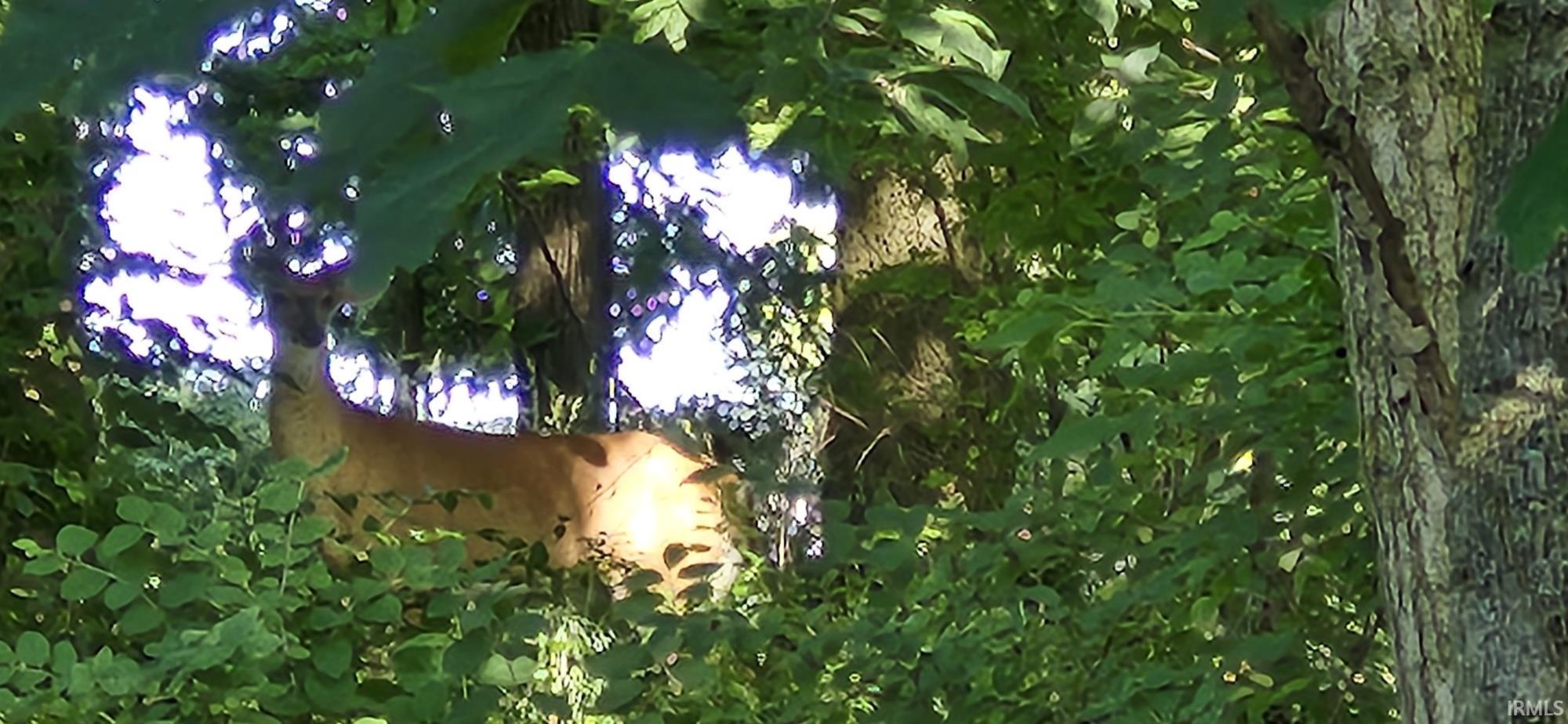 Lot 2 Waters Edge Elkhart, IN 46514 - Photo 5 of 7