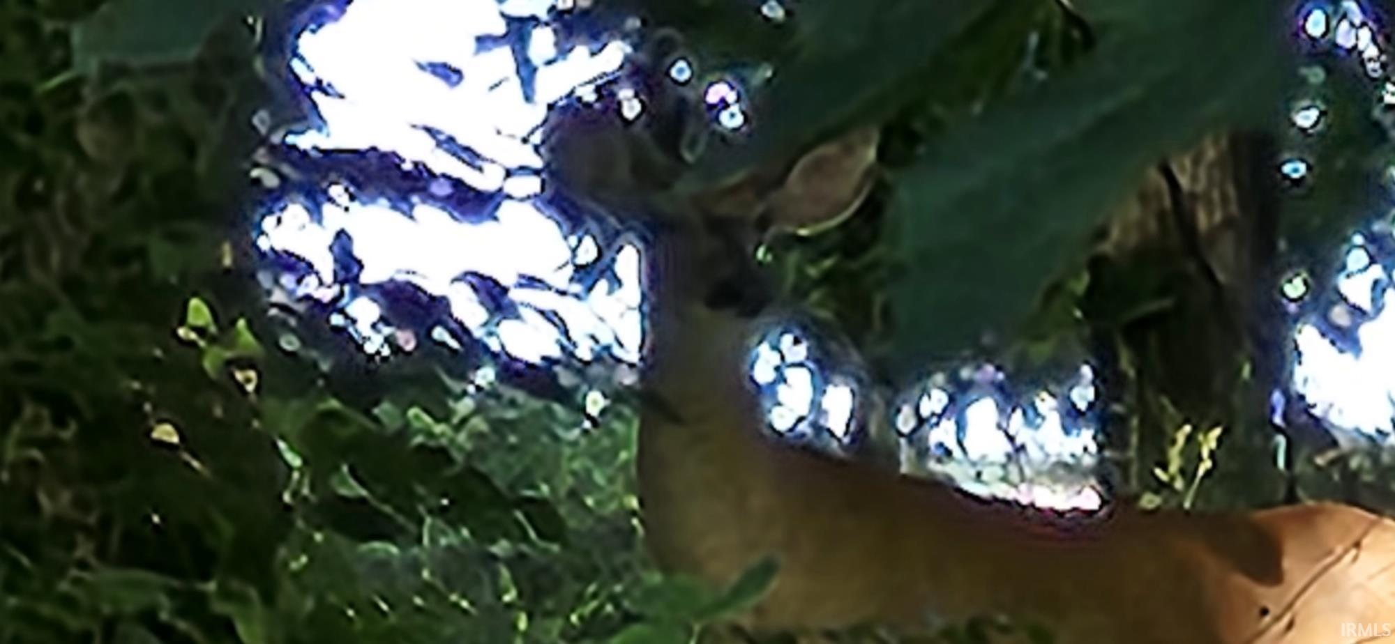 Lot 2 Waters Edge Elkhart, IN 46514 - Photo 6 of 7