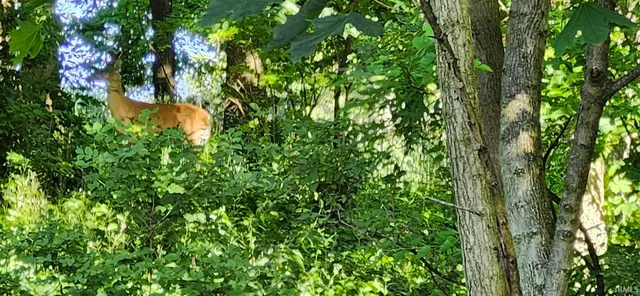 $41,900 | Lot 2 Waters Edge, Elkhart, IN 46514