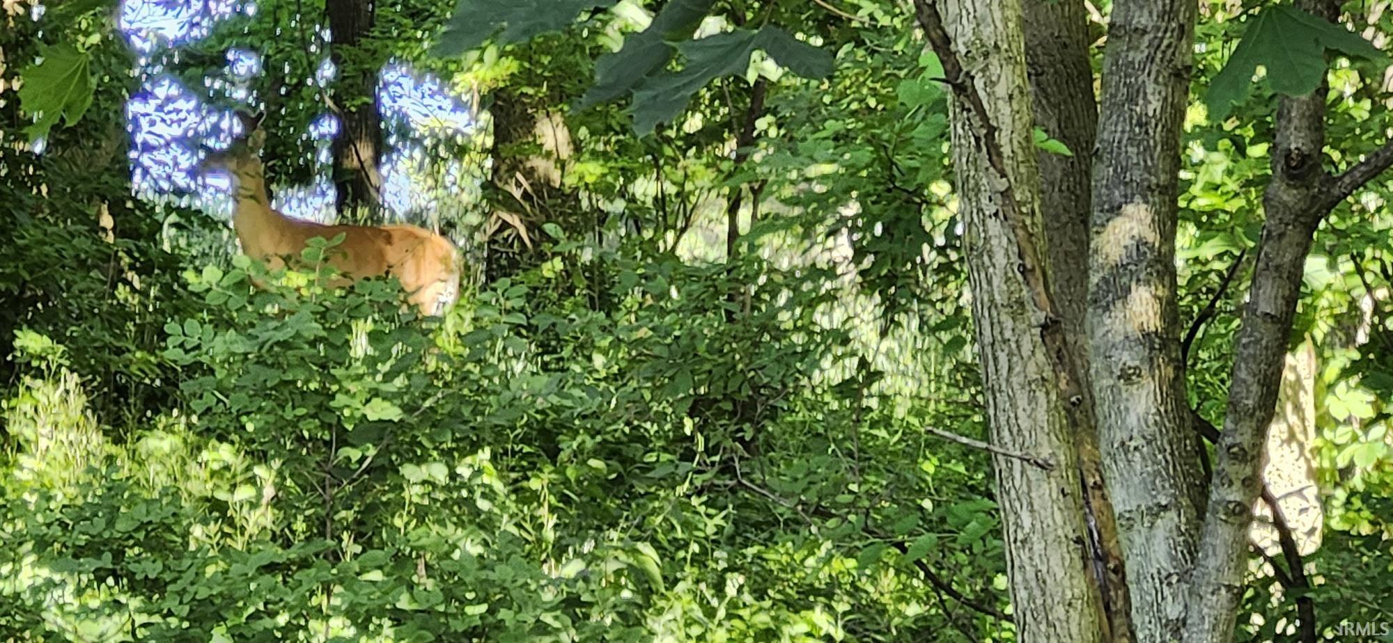 Lot 2 Waters Edge Elkhart, IN 46514 - Photo 7 of 7