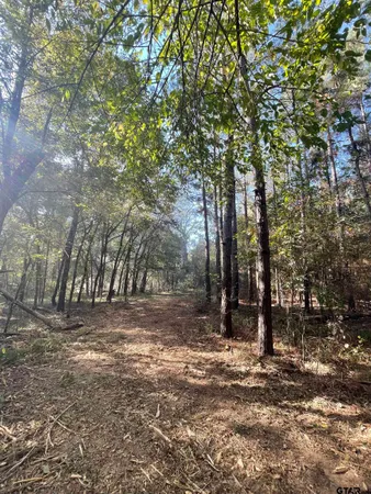 a view of a outdoor space with trees
