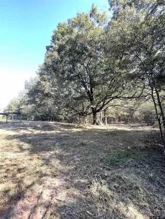 a view of dirt yard with a trees