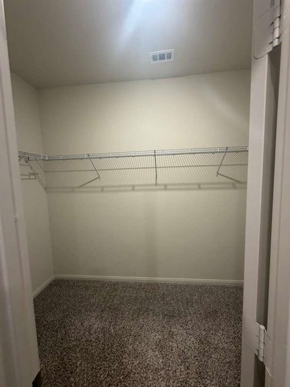 310 Foster Lane Anna, TX 75409 - Photo 9 of 15 Interior closet featuring warm neutral wall tones and a plush, textured carpet