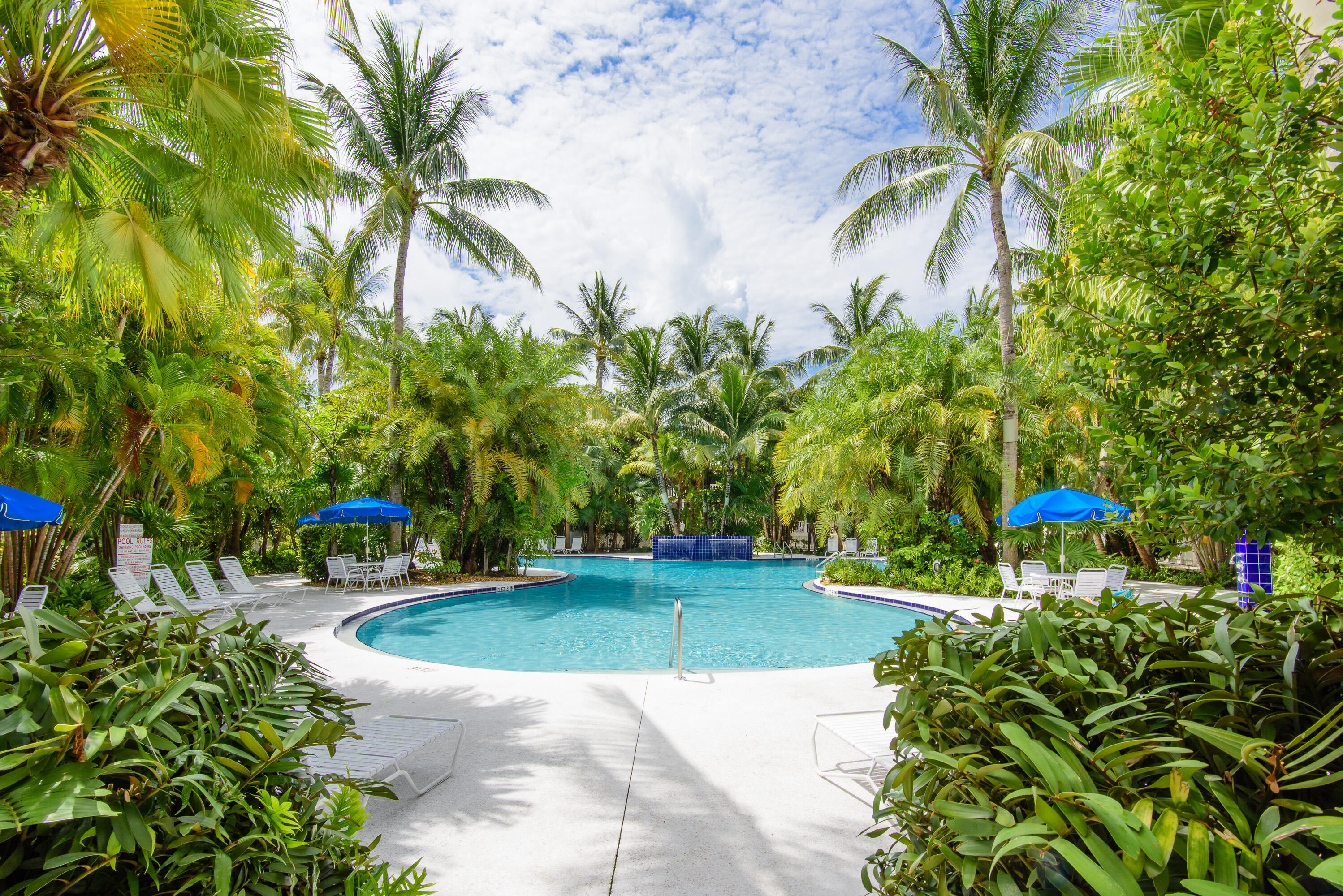 45 Spoonbill Way Key West, FL 33040 - Photo 68 of 80 a view of a swimming pool with a yard