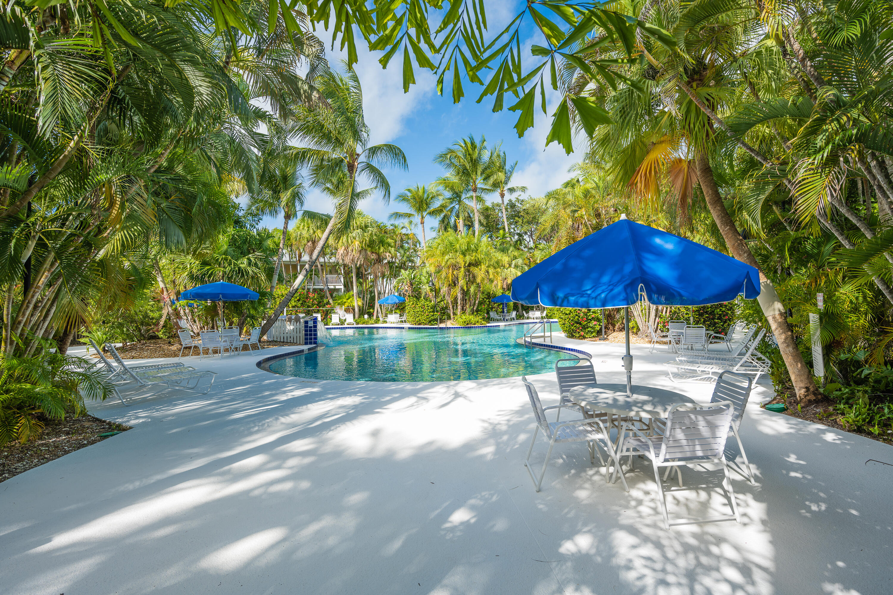 45 Spoonbill Way Key West, FL 33040 - Photo 69 of 80 a view of a yard with a table and a chair