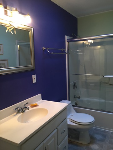 540 Glendale Road Glenview, IL 60025 - Photo 14 of 18 a bathroom with a sink toilet and shower
