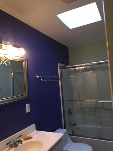 540 Glendale Road Glenview, IL 60025 - Photo 15 of 18 a bathroom with a shower and a sink