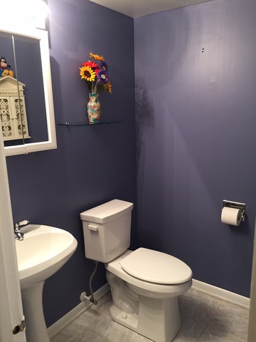 540 Glendale Road Glenview, IL 60025 - Photo 16 of 18 a white toilet sitting next to a bathroom sink and vanity