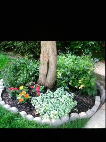 540 Glendale Road Glenview, IL 60025 - Photo 4 of 18 a view of a garden with flowers and plants