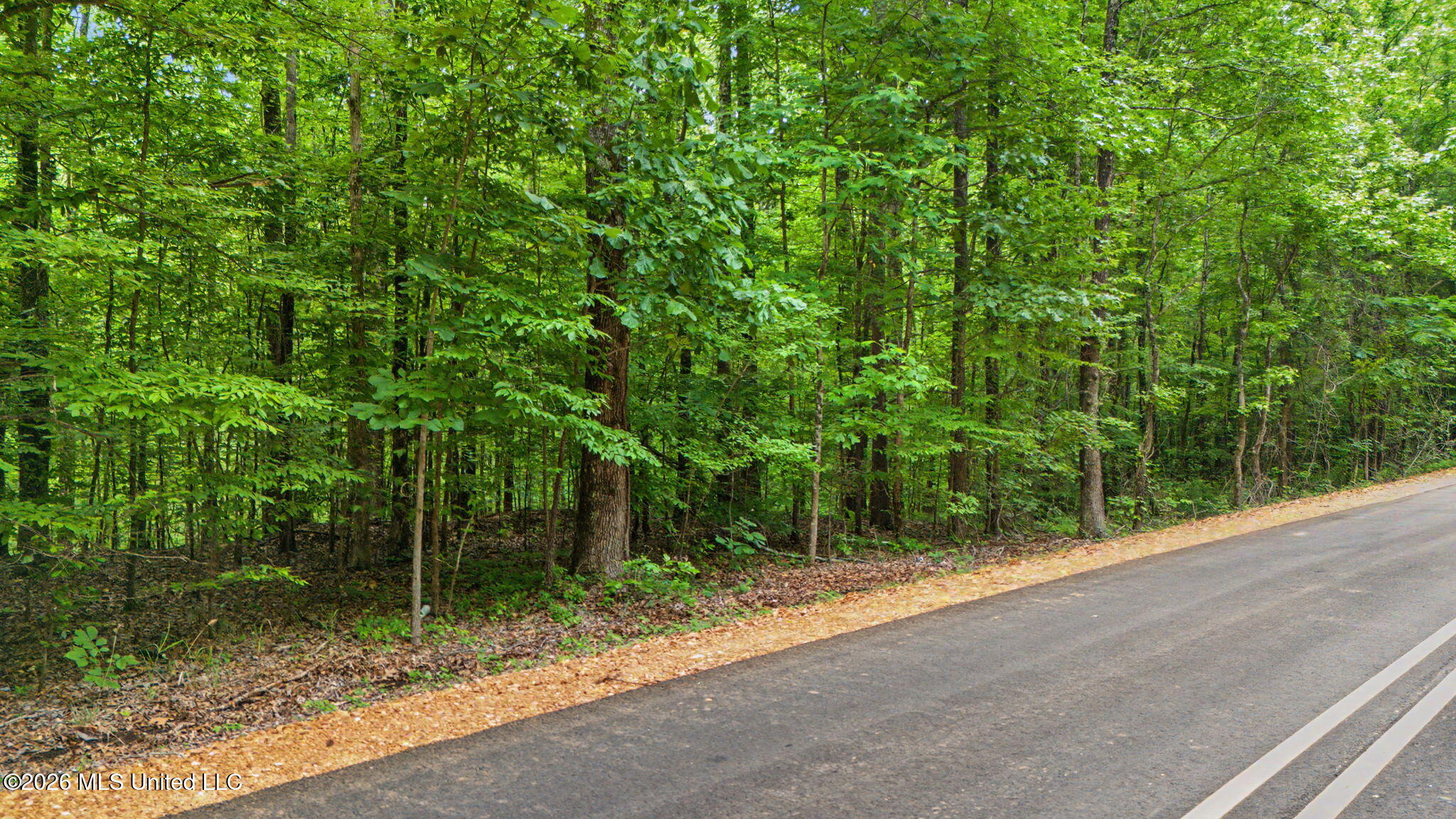Tanyard Road Hernando, MS 38632 - Photo 5 of 13 7-web-or-mls-Tanyard Rd-7