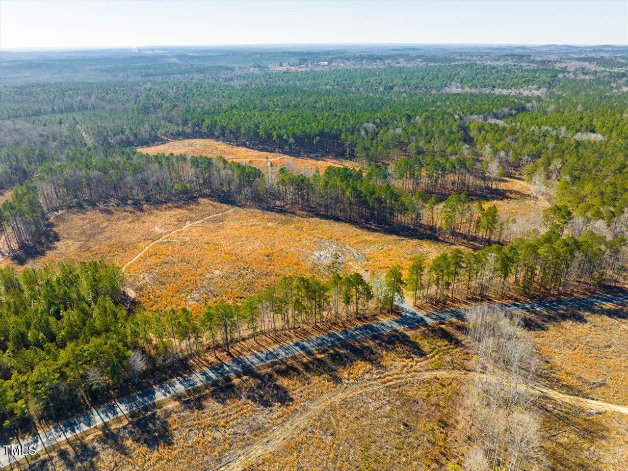 3 Robedo Rd Mount Mount Gilead, NC 27306 - Photo 6 of 24 06-006-Tract3-RobedoRd-MontgomeryCounty-