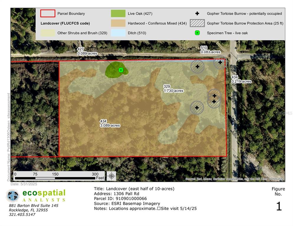 1306 Pell Road Osteen, FL 32764 - Photo 2 of 4