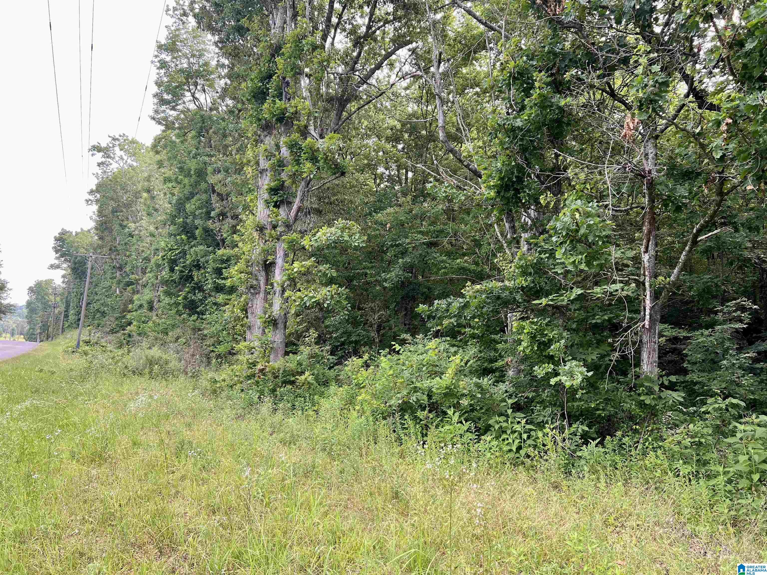 0 Fowler Springs Road, Unit 21 Blountsville, AL 35031 - Photo 14 of 24