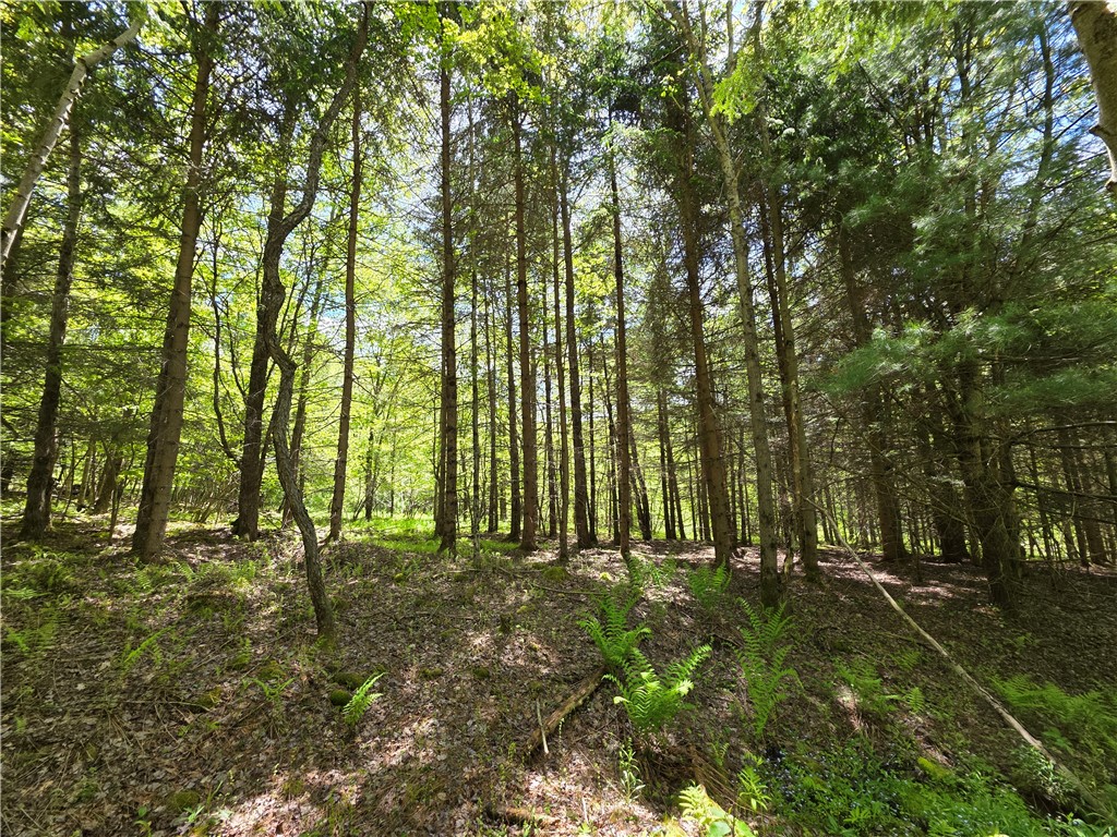3040 Quigg Hollow Road Andover, NY 14806 - Photo 37 of 46