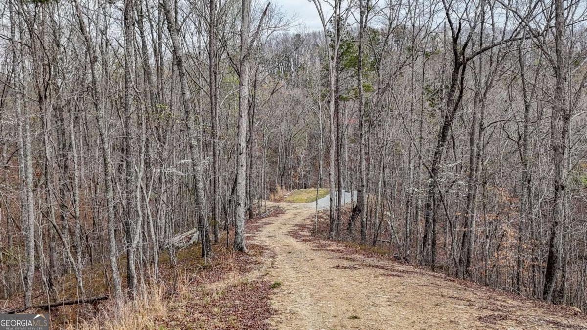 0 Felton Rockmart Road Buchanan, GA 30113 - Photo 7 of 47