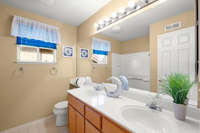 a bathroom with a granite countertop sink and a potted plant