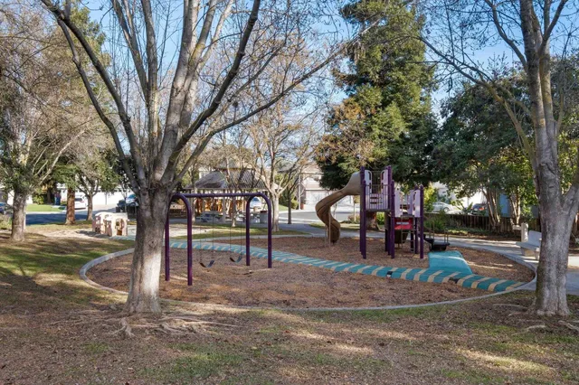 a park view with large trees
