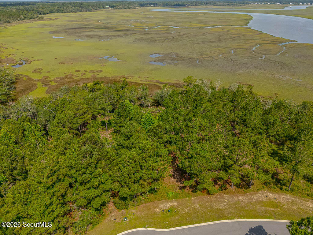 Lot 98 Wards Way Waverly, GA 31565 - Photo 5 of 20